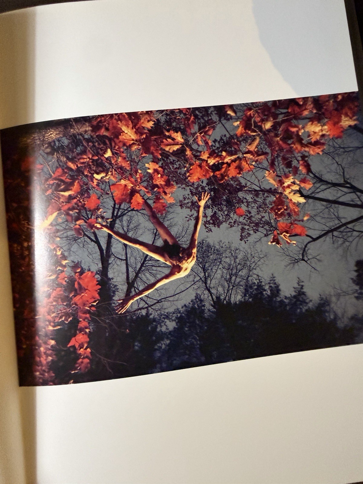You and I Ryan McGinley Twin Palms Publishers Hardcover Photography Art Book
