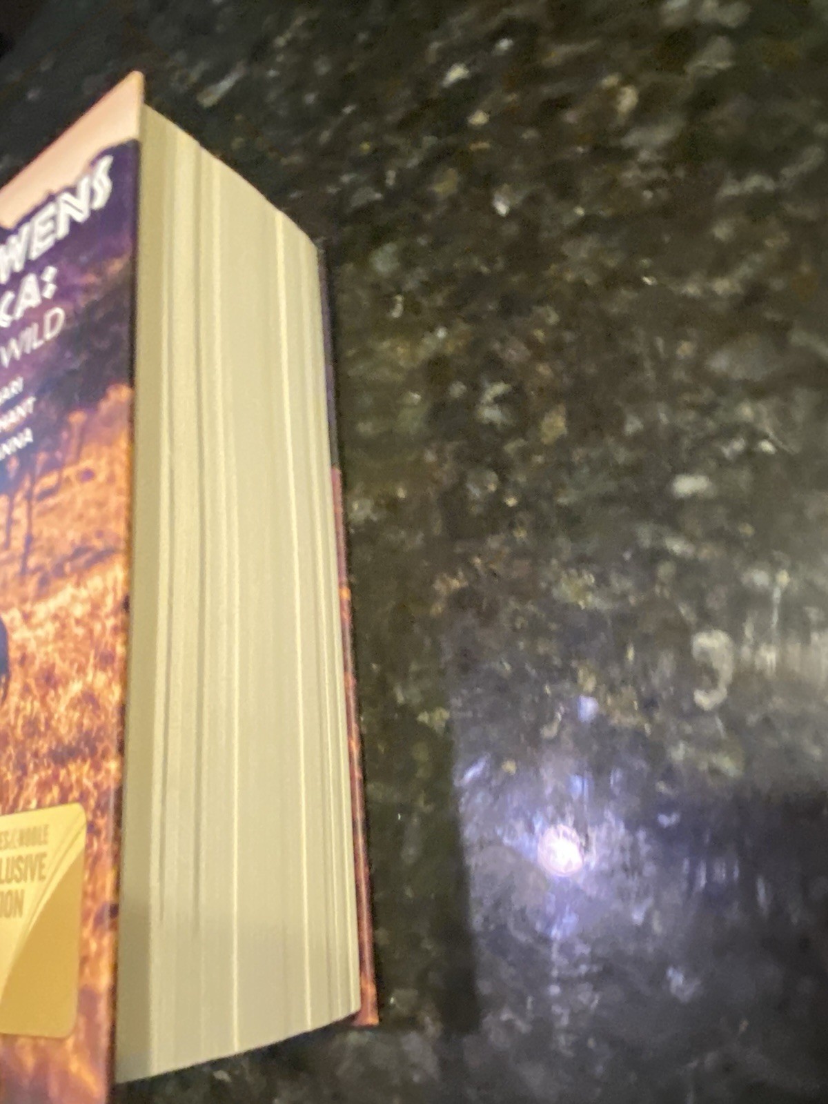 Delia Owens In Africa : A Life In The Wild by Mark Owens & Delia Owens (2019)