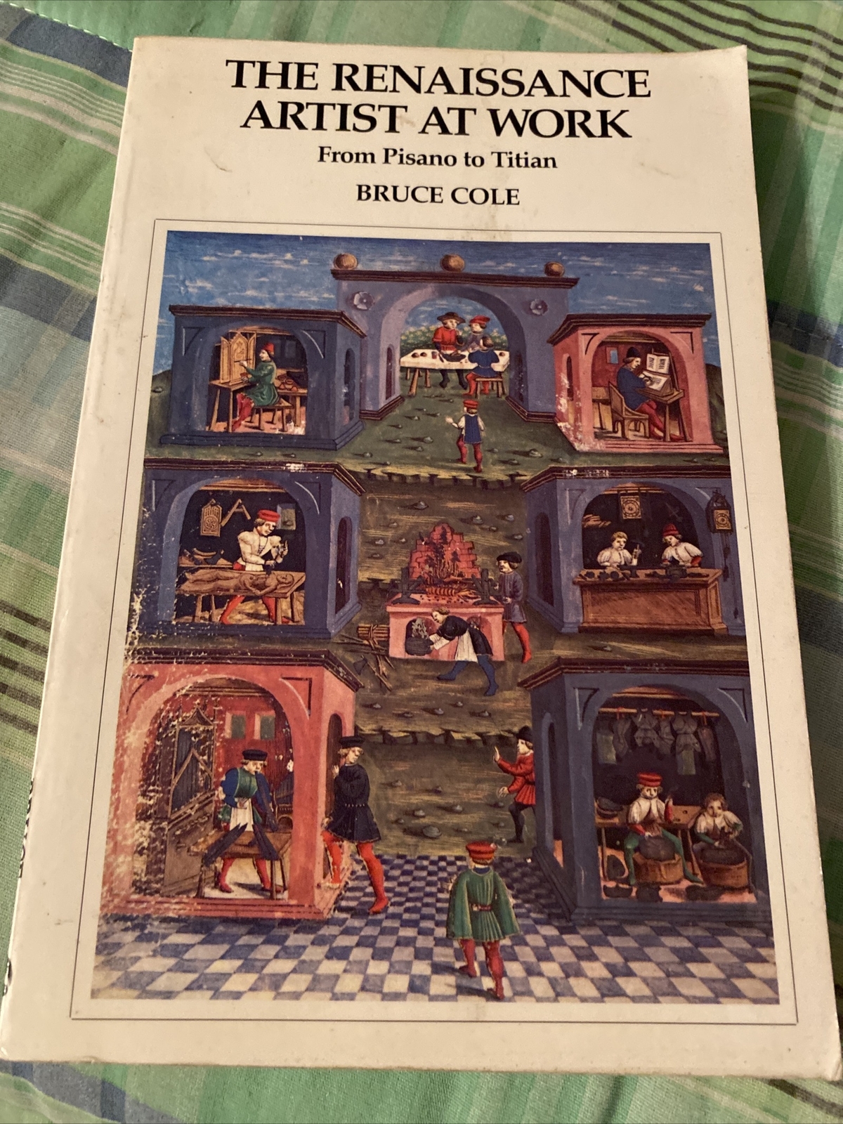 The Renaissance Artist At Work; Paperback Bruce Cole 1983