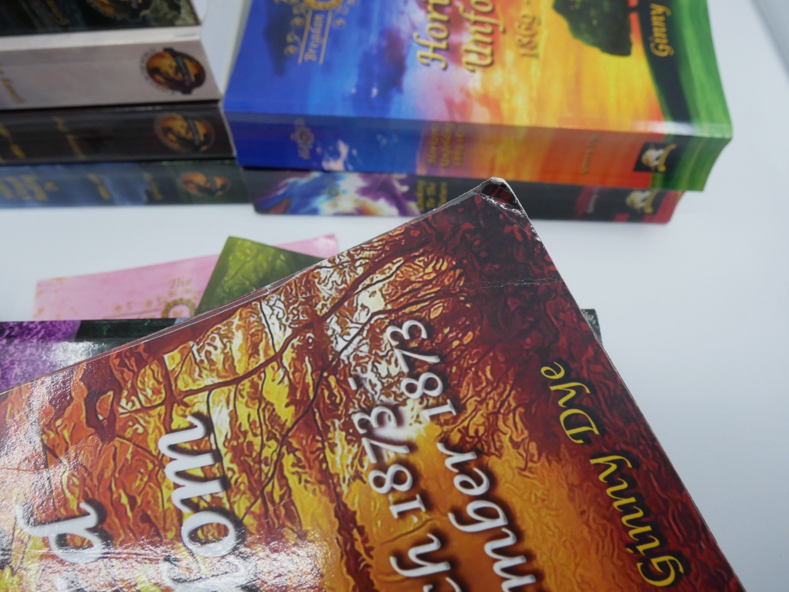 The BREGDAN CHRONICLES Ginny Dye Civil War Saga Paperback Lot 1-20 Complete