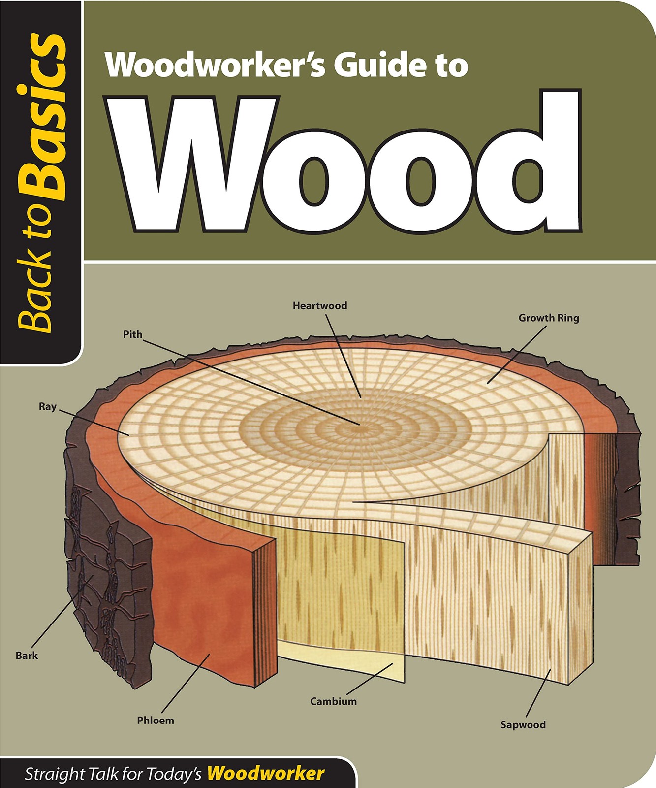 Woodworker’s Guide to Wood (Back to Basics): Straight Talk for Today’s Woodw…