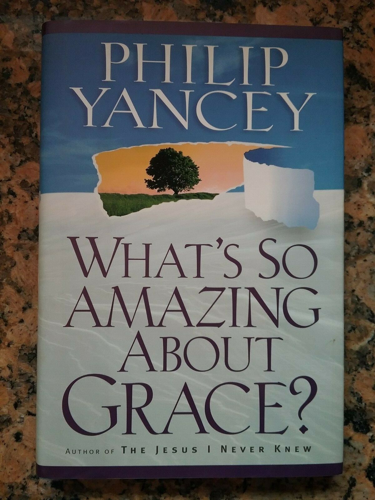 What’s So Amazing about Grace? by Philip Yancey (1997, Hardcover)