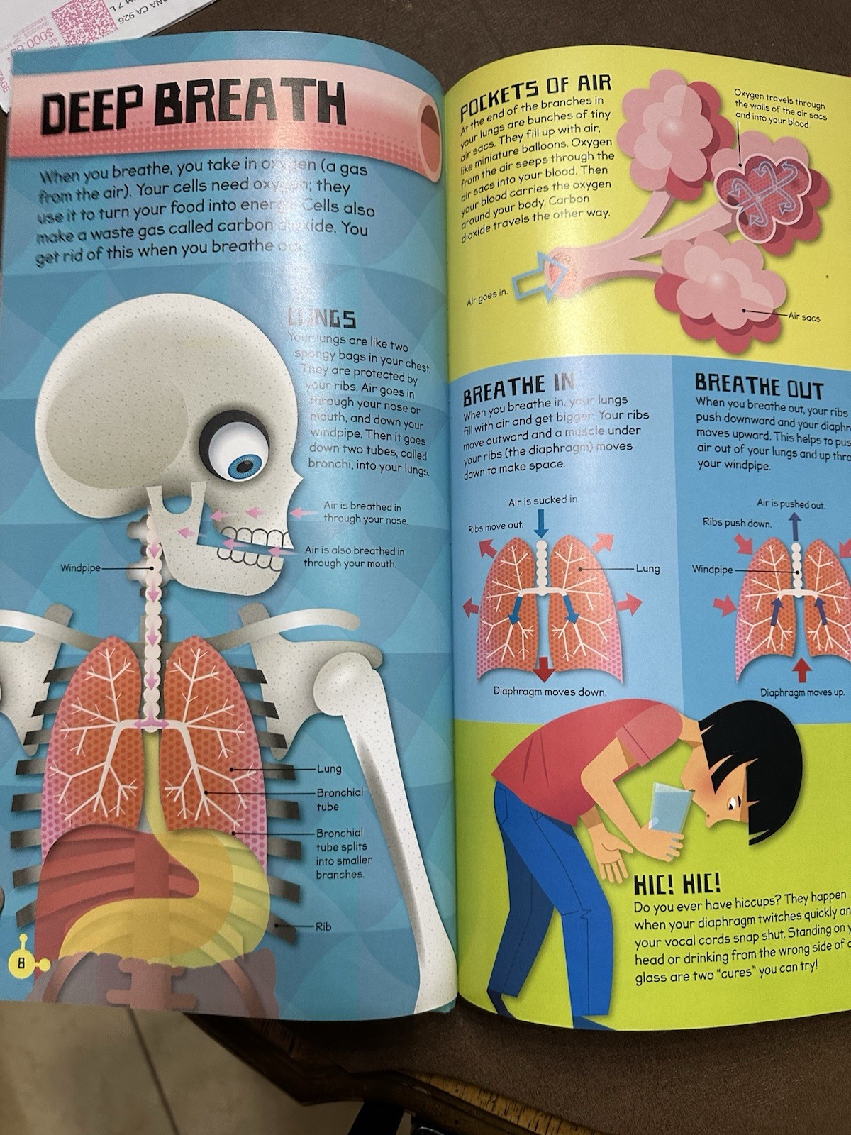Make and Move: Human Body by Anita Ganeri (2015) All pieces included!!!
